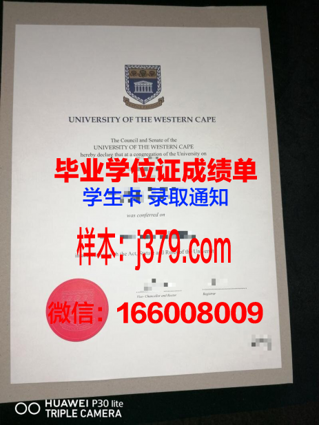 开普半岛科技大学本科毕业证：一份通往未来的通行证