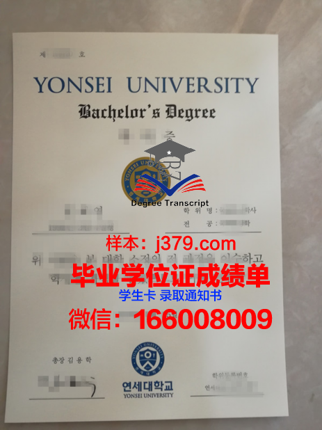 延世大学毕业证书英文版(延世大学毕业证图片)