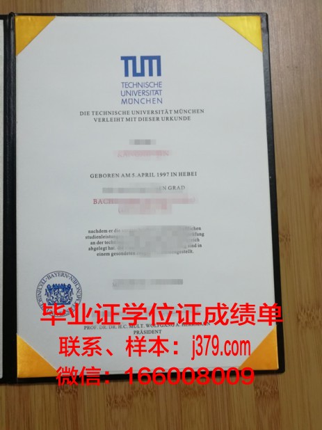 慕尼黑大学毕业证书图片(慕尼黑工业大学毕业证书)