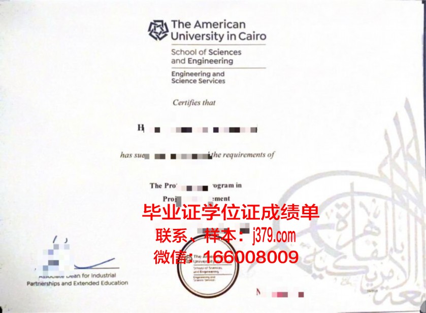 开罗大学毕业证长什么样(开罗大学在哪里)