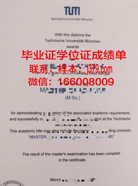 慕尼黑大学毕业证是什么样子(慕尼黑大学毕业典礼)