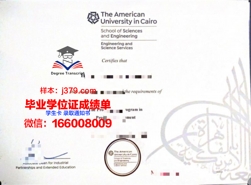 开罗大学毕业证书图片高清(开罗大学毕业证书图片高清版)
