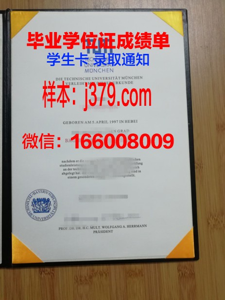 慕尼黑商学院拿不了毕业证(慕尼黑商学院世界排名)