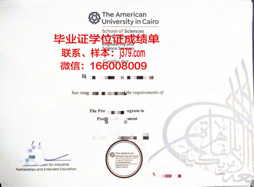 开罗毕业证：跨越国界的学术荣耀