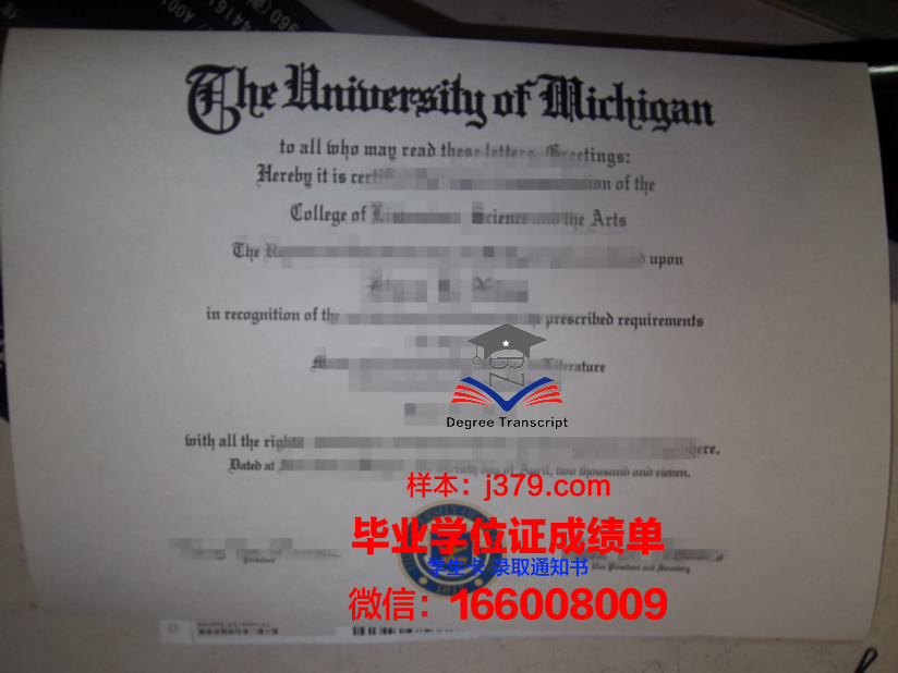 建桥毕业证：一张纸的重量与梦想的承载