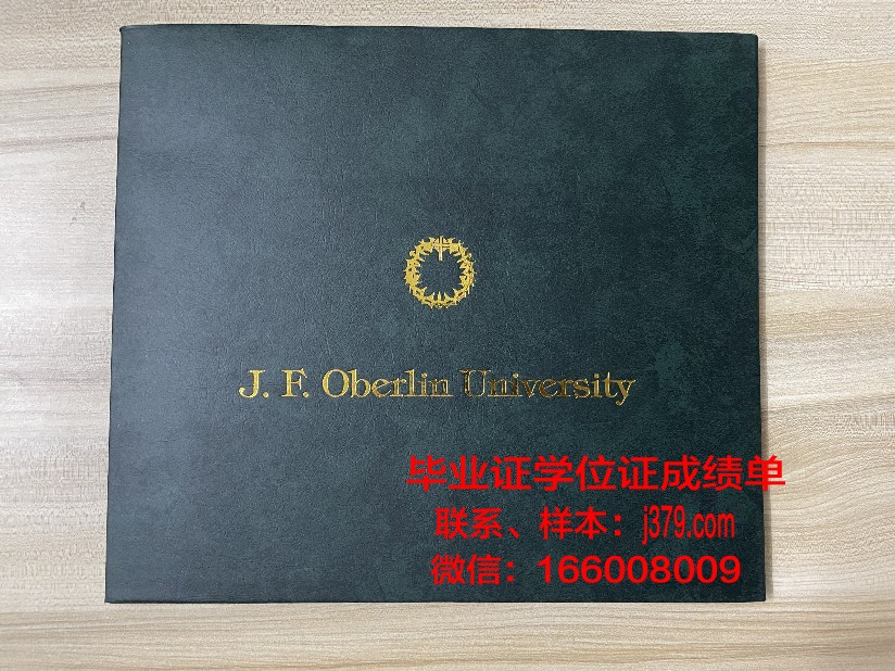 康茨坦茨大学毕业证什么样子(康斯坦茨大学学费)