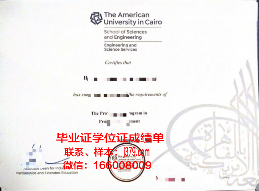 开罗毕业证：跨越国界的学术荣耀