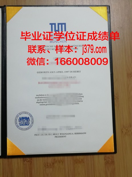 慕尼黑应用技术大学博士毕业证书(慕尼黑工业大学博士毕业)