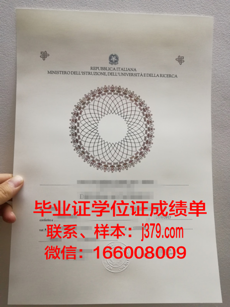 意大利锡耶纳外国人大学毕业证壳子(意大利的大学毕业证是怎么的)