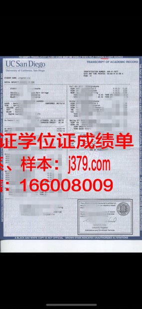 成绩单上的“满意”：探秘“Satisfactory”背后的意义