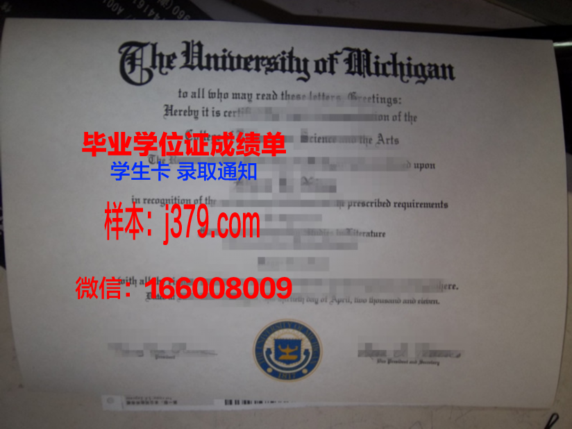 恩大毕业证成绩单：记录青春足迹，承载梦想启航