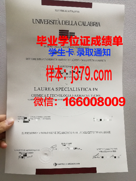 意大利毕业证书丢失(意大利毕业两年后才有毕业证)