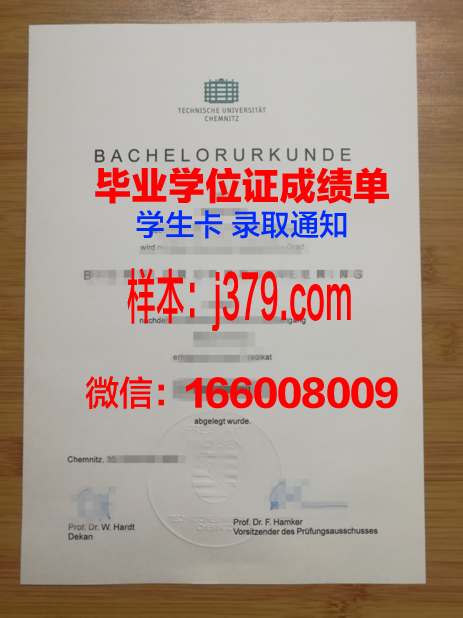 开姆尼茨工业大学毕业证尺寸(开姆尼兹工业大学排名)