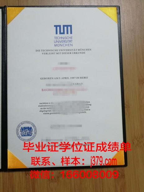慕尼黑商学院毕业证是什么模样(慕尼黑大学商科硕士申请条件)