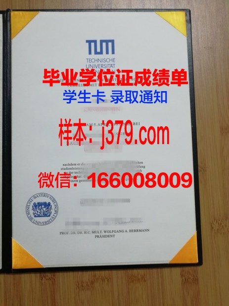 慕尼黑工业大学学历证书(慕尼黑工业大学本科几年制)