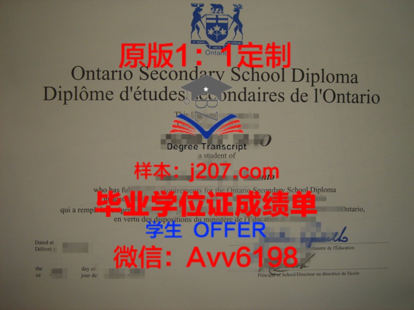 都灵理工大学毕业证Diploma文凭