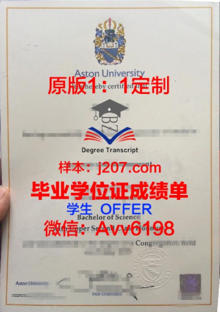 共和国大学毕业证Diploma文凭