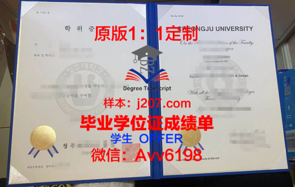 赫尔辛基工业大学毕业证Diploma文凭