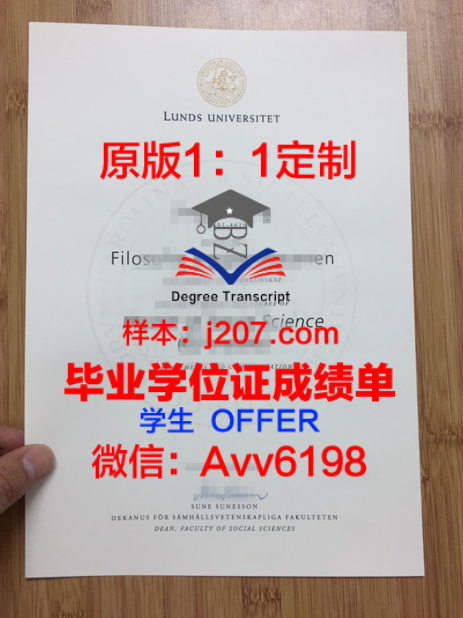 设拉子医科大学毕业证Diploma文凭