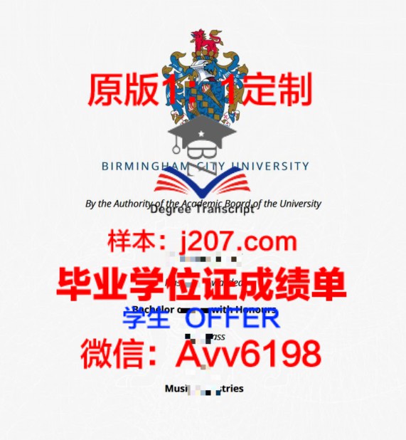 横滨系统工学院专门学校毕业证：开启职场新篇章的钥匙