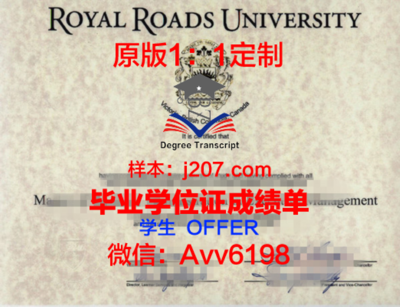 国际学士学位证书的实用价值与优势