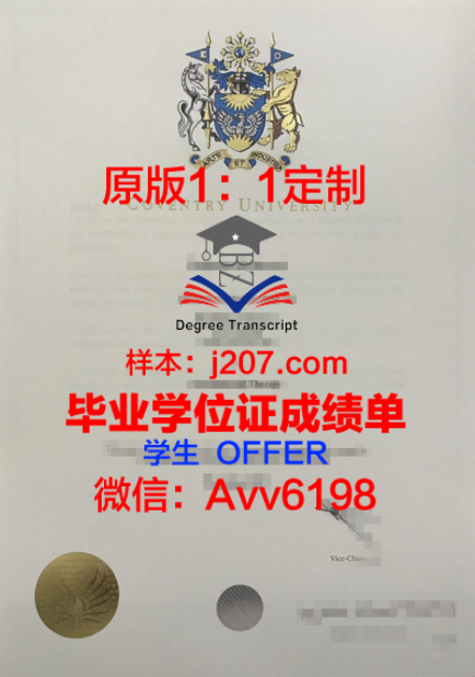 高等艺术与技术学院学位成绩单定制：为学子量身打造的艺术人生