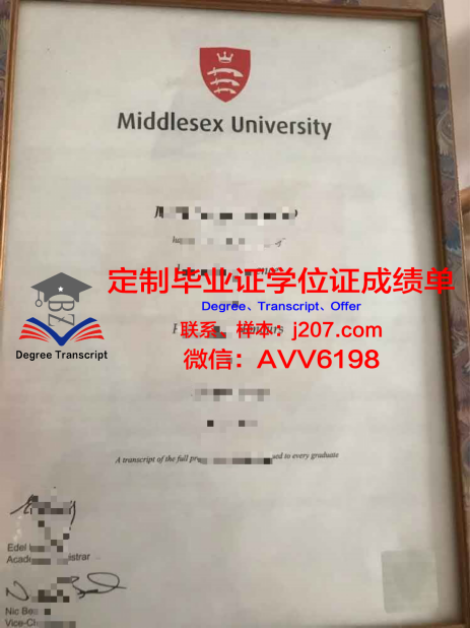 南佛大学位证定制市场价格解析