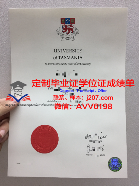 UMBC本科毕业证：开启未来大门的钥匙