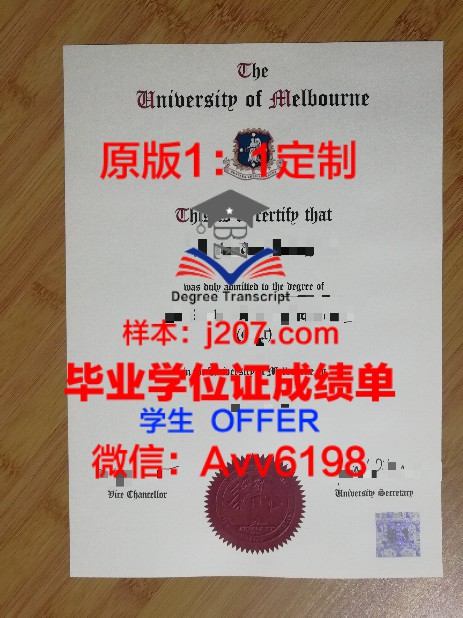 伏尔加国立电信与信息大学录取通知书OFFER定制，开启你的俄罗斯留学之旅