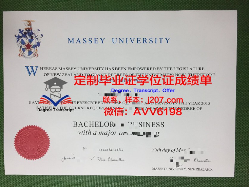 伊尔梅瑙工业大学毕业证原版(伊尔梅瑙工业大学什么水平)